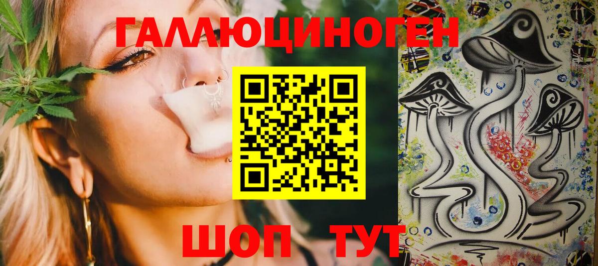 Галлюциногенные грибы Psilocybe Ирбит